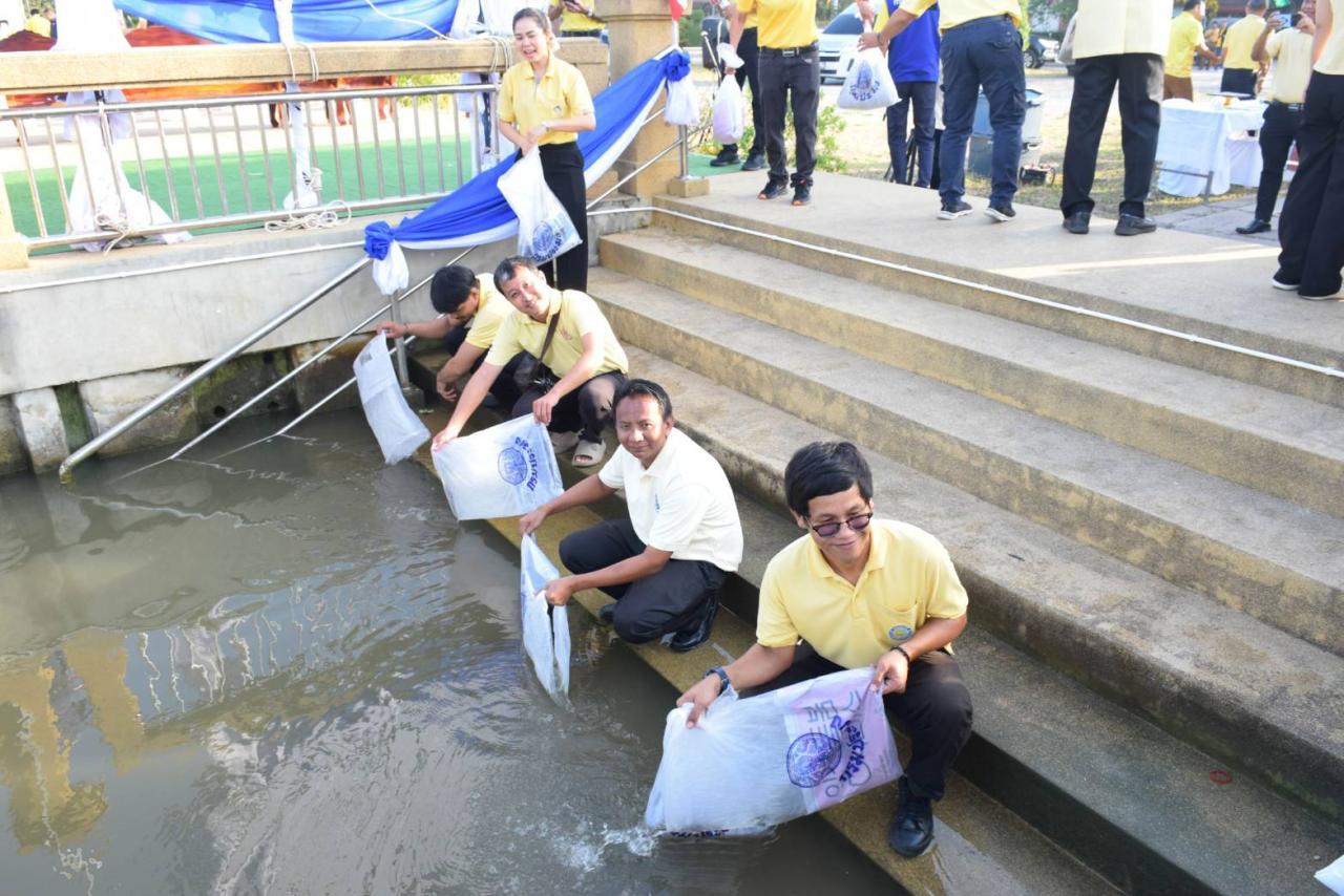 ภาพประกอบที่ 6