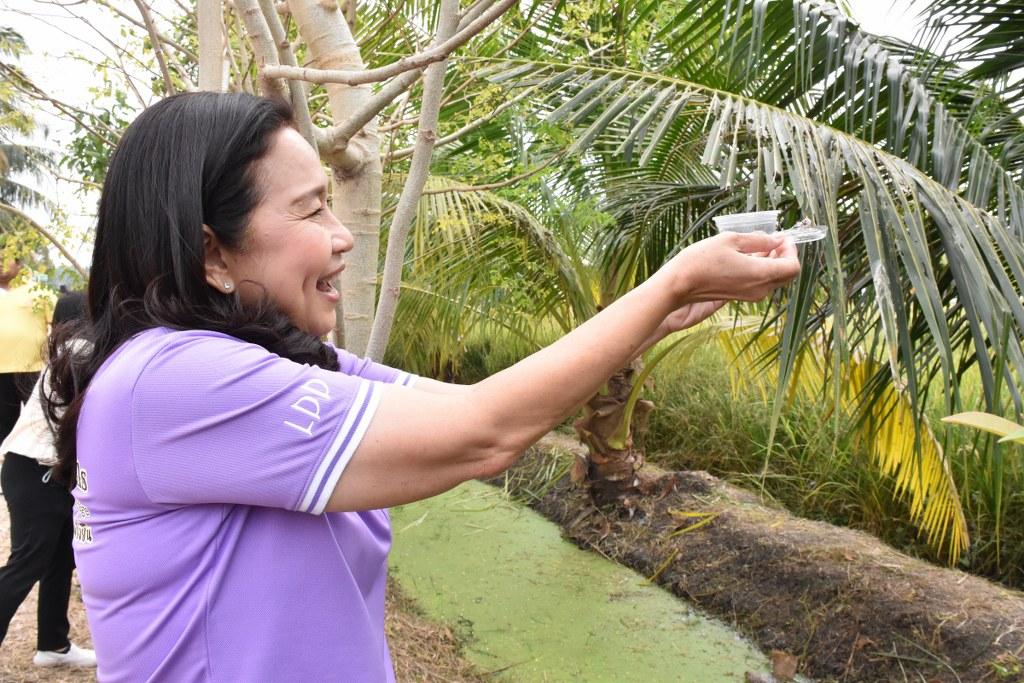 ภาพประกอบที่ 64