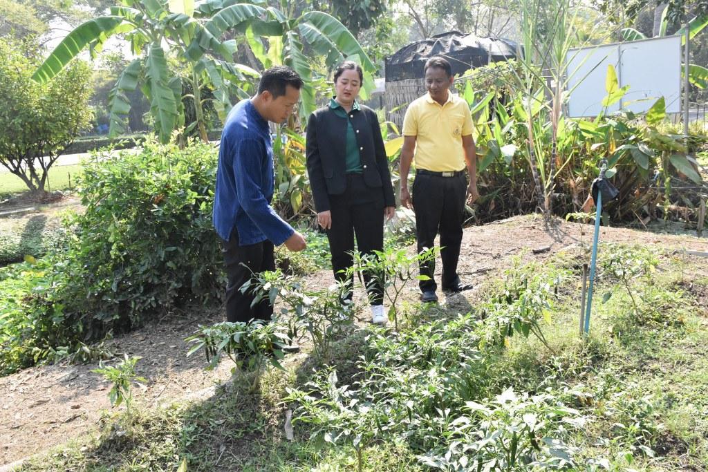 ภาพประกอบที่ 0