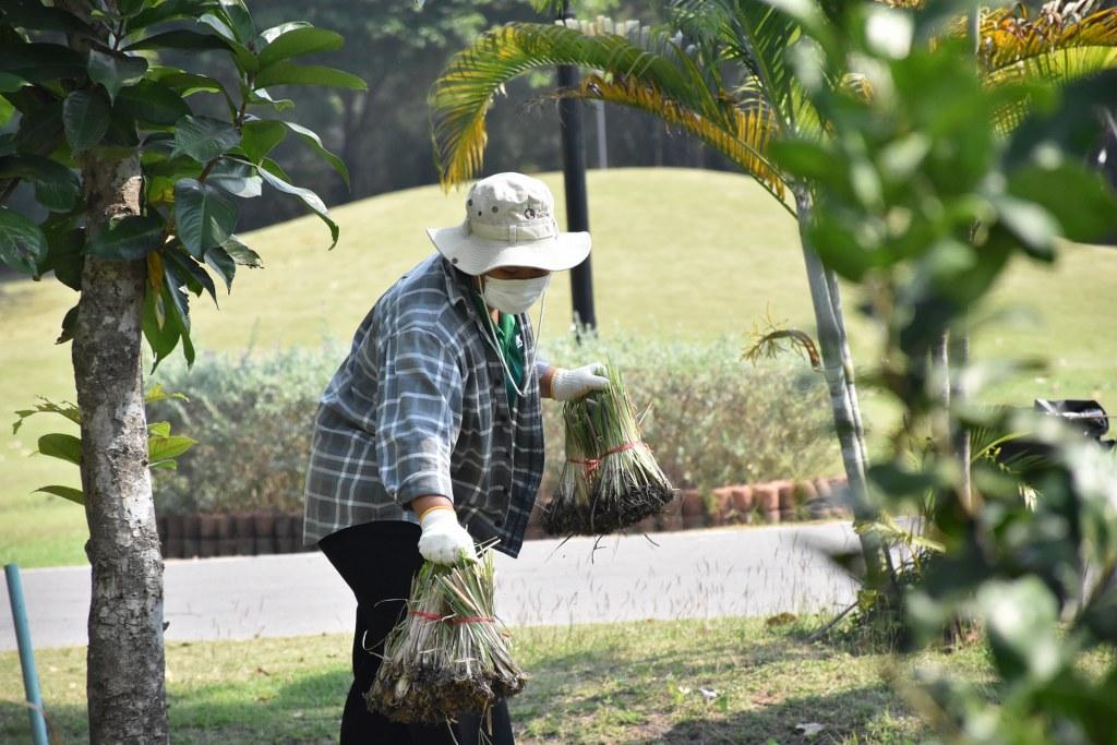ภาพประกอบที่ 2