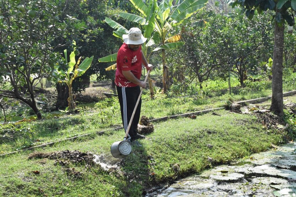 ภาพประกอบที่ 4