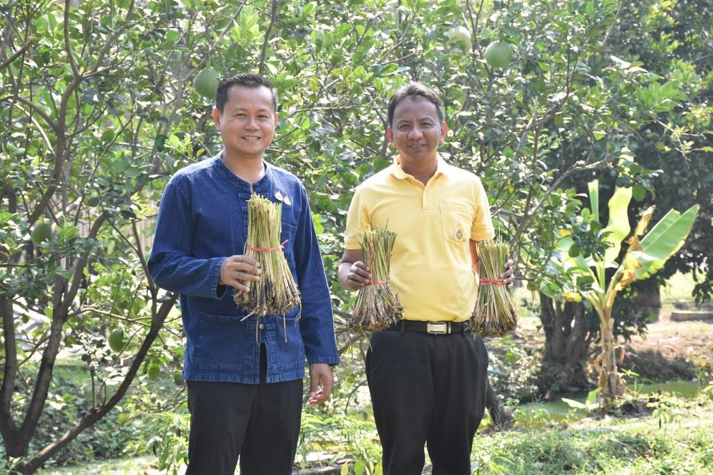 ภาพประกอบที่ 5