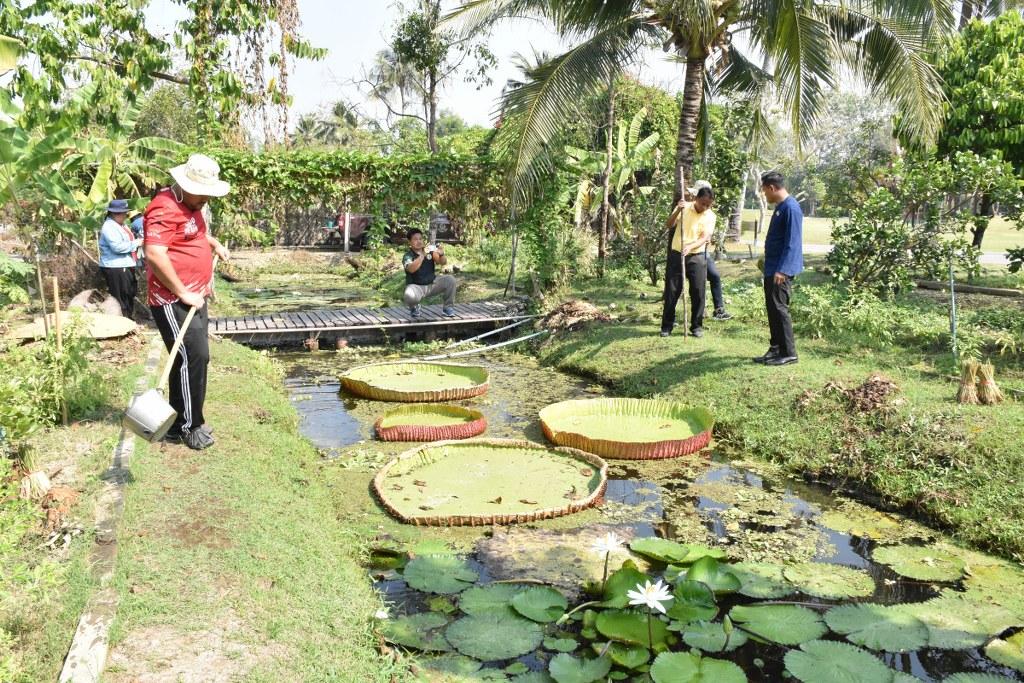 ภาพประกอบที่ 8