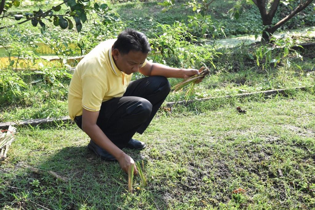 ภาพประกอบที่ 10