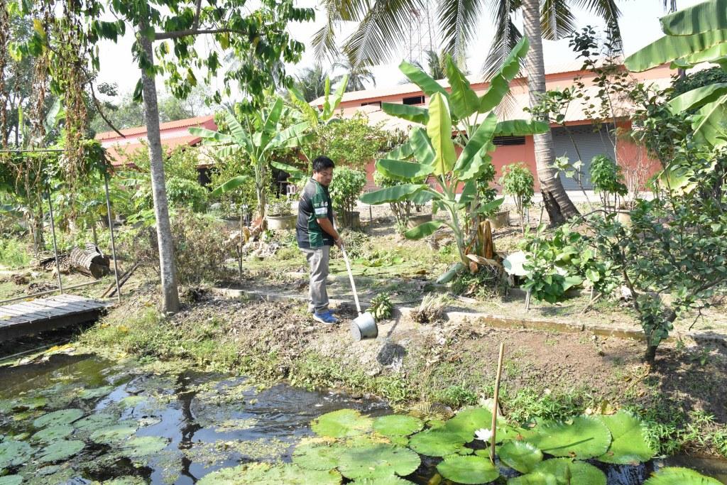 ภาพประกอบที่ 11