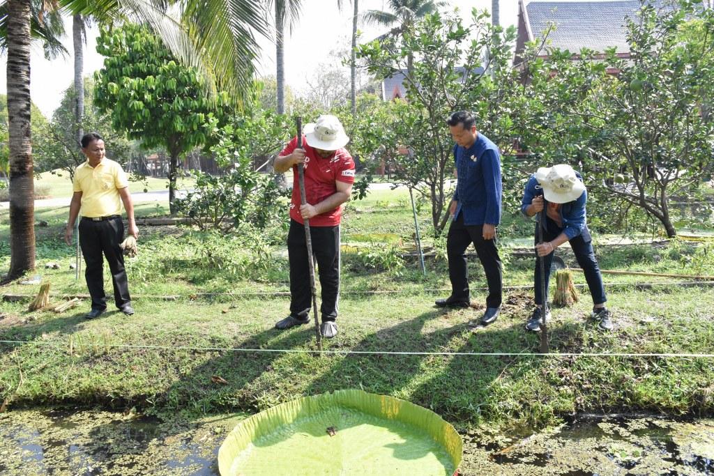 ภาพประกอบที่ 13