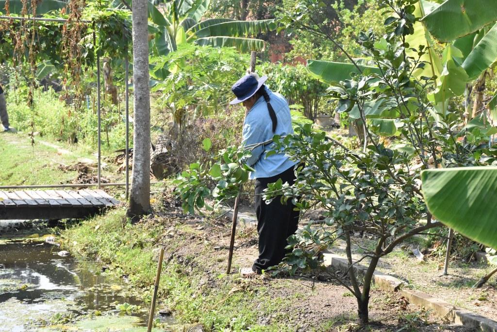 ภาพประกอบที่ 16