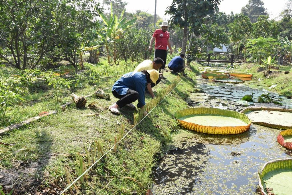 ภาพประกอบที่ 23