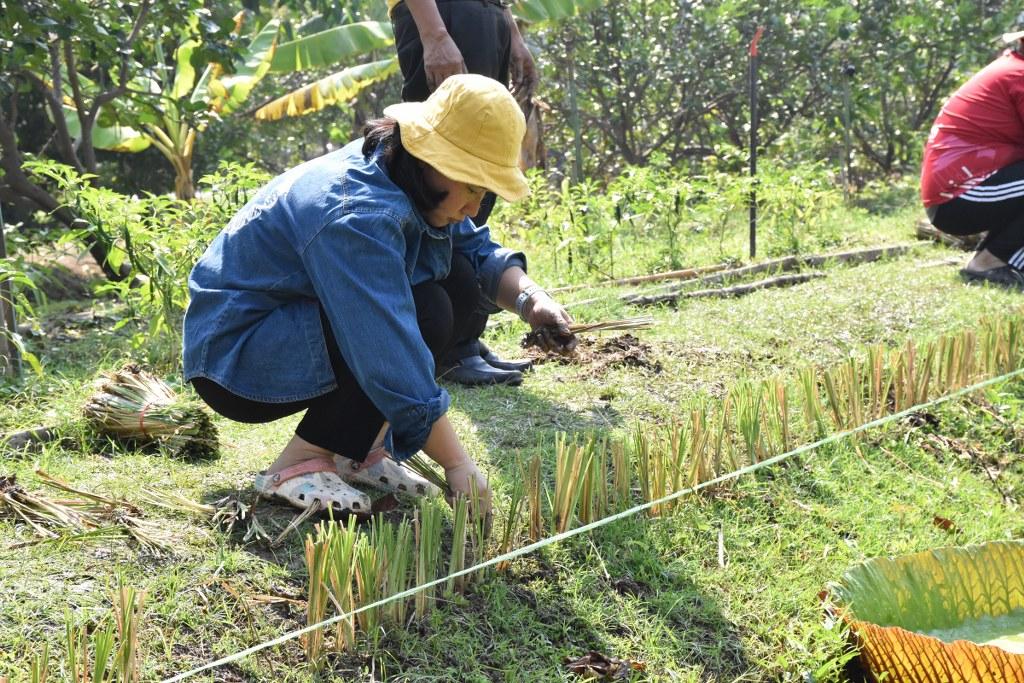 ภาพประกอบที่ 24