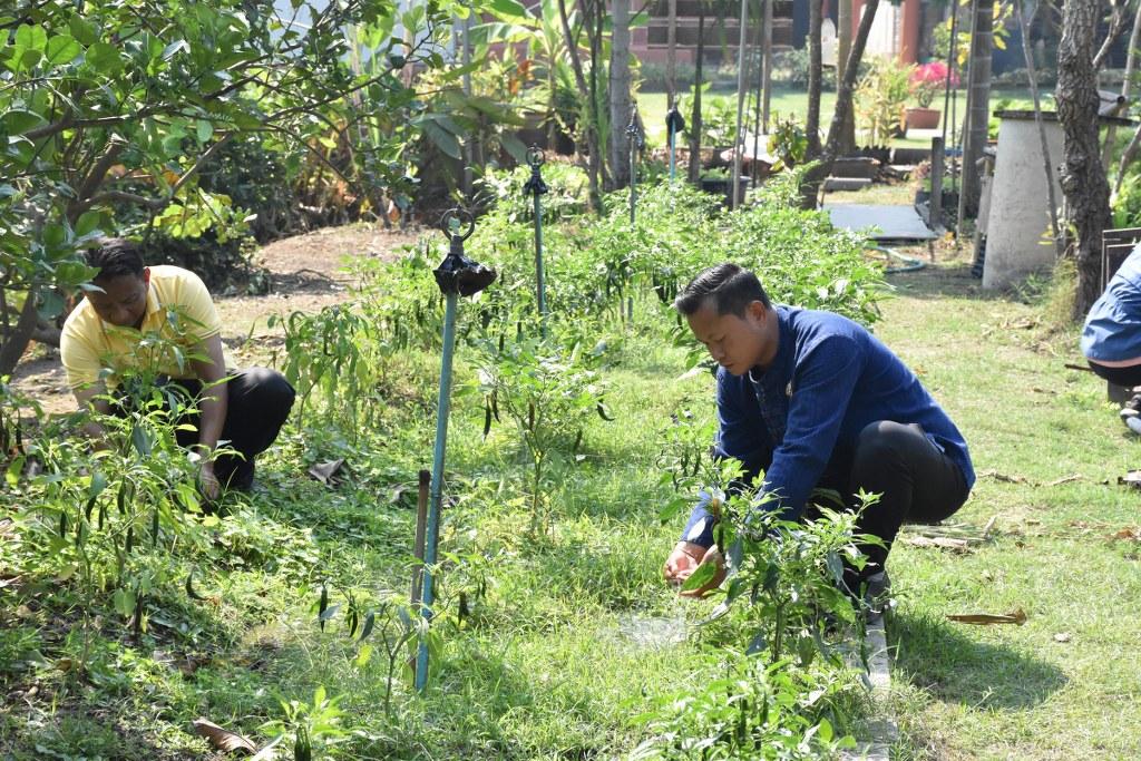 ภาพประกอบที่ 25