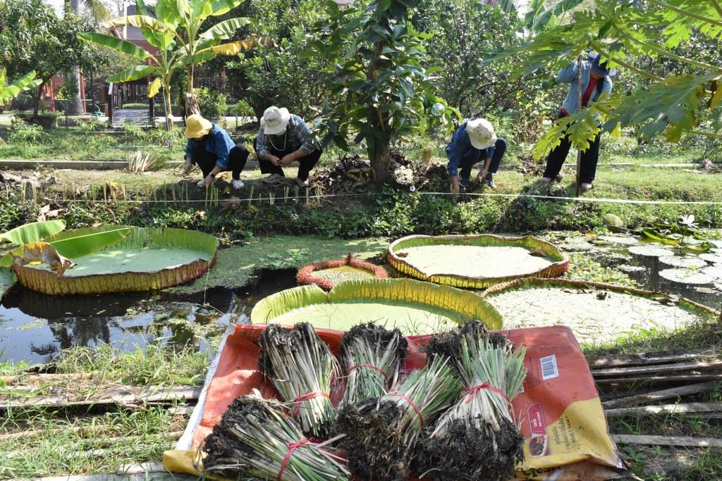 ภาพประกอบที่ 27