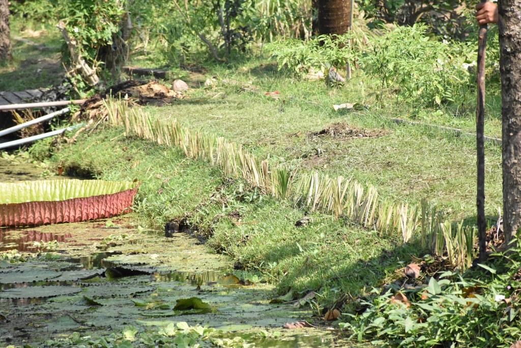 ภาพประกอบที่ 29