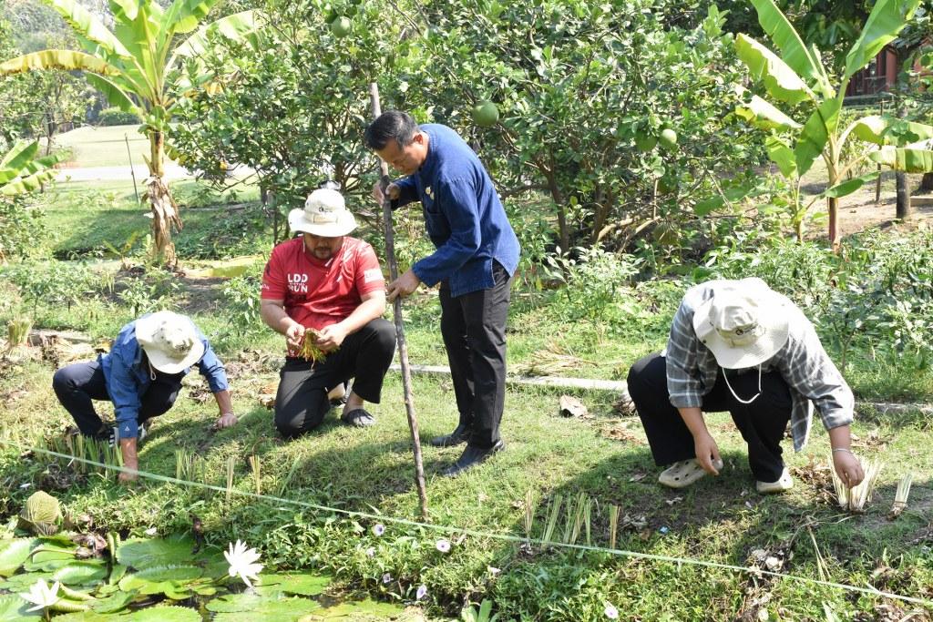 ภาพประกอบที่ 30