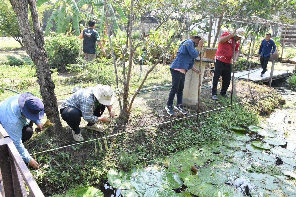 ภาพประกอบที่ 31