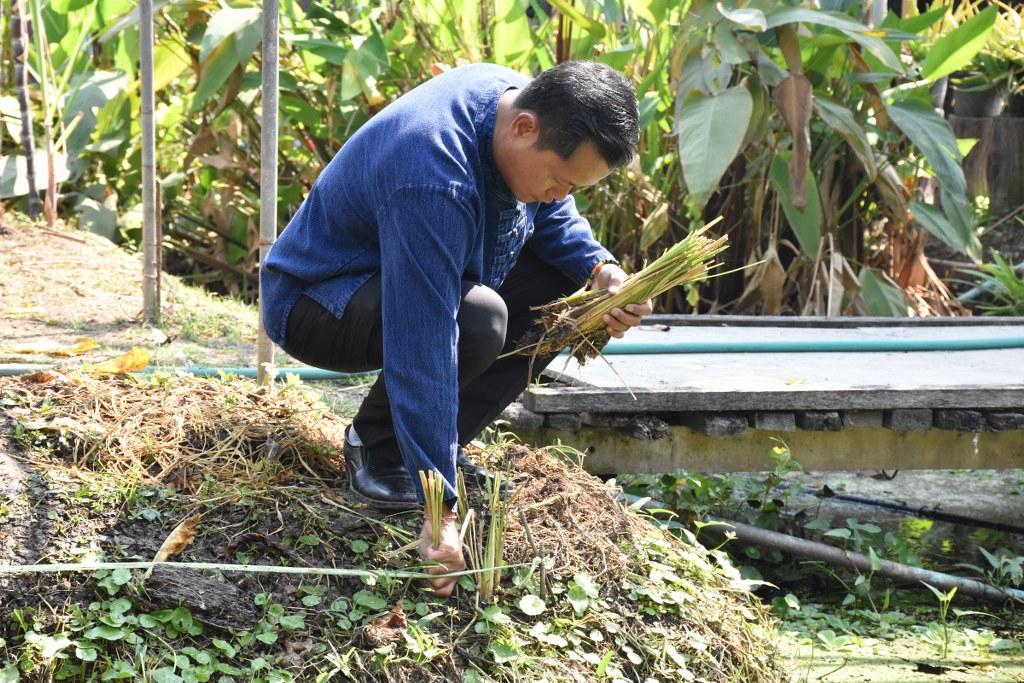 ภาพประกอบที่ 32