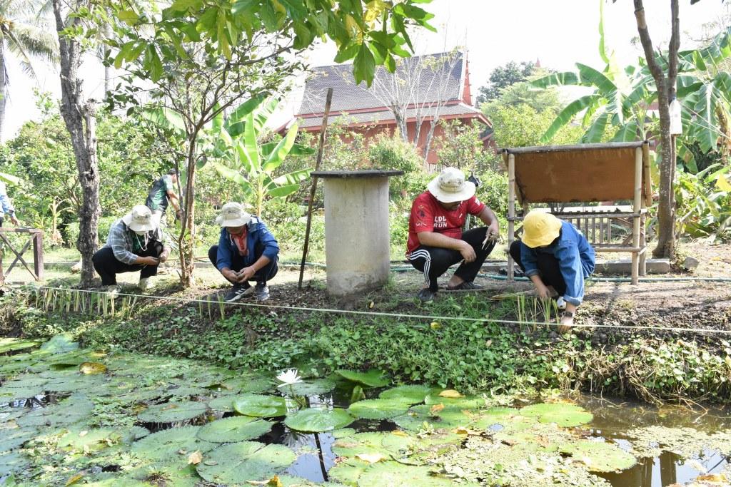 ภาพประกอบที่ 33