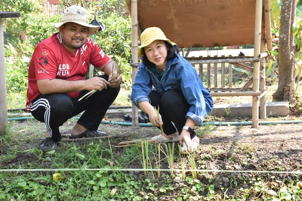 ภาพประกอบที่ 34