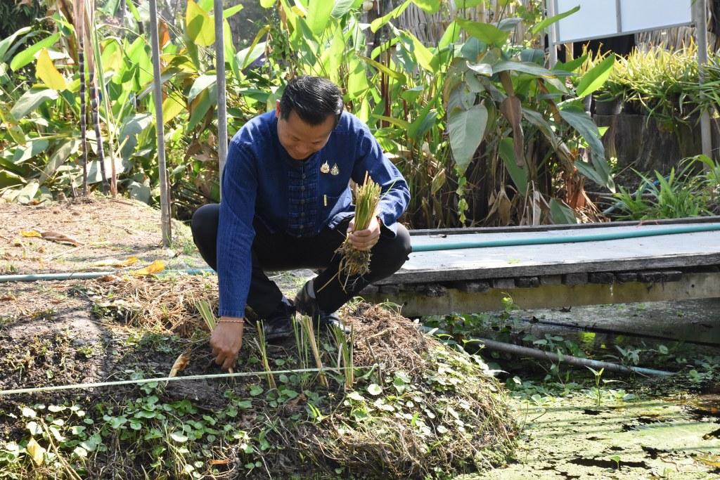 ภาพประกอบที่ 35