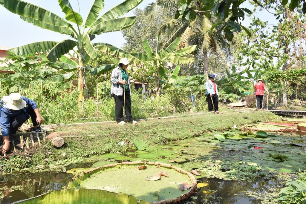 ภาพประกอบที่ 36