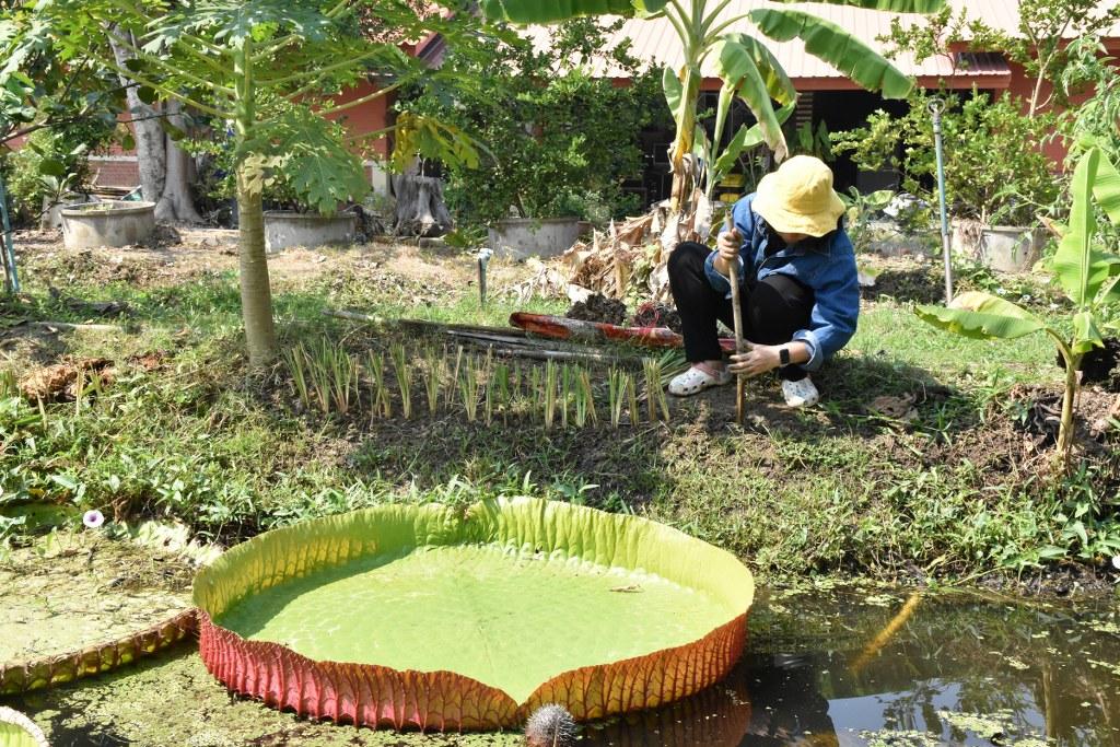 ภาพประกอบที่ 37