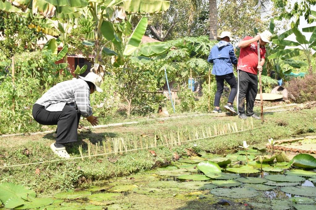 ภาพประกอบที่ 39