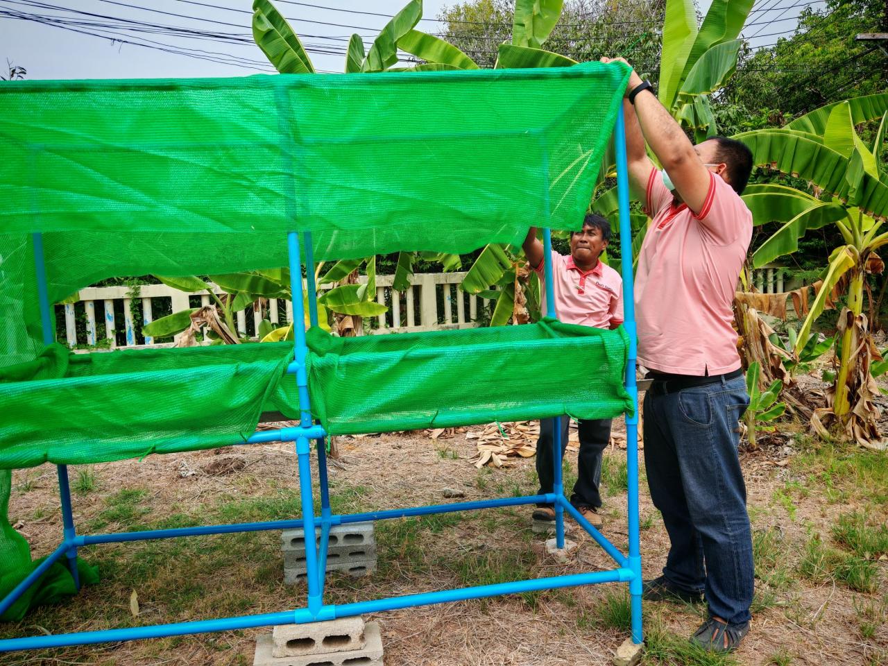 ภาพประกอบที่ 11