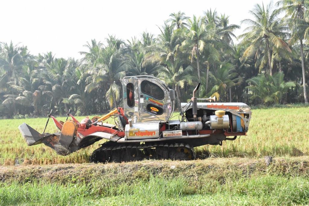 ภาพประกอบที่ 6