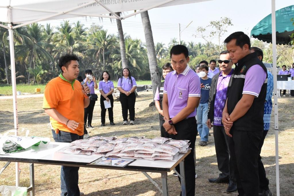 ภาพประกอบที่ 31