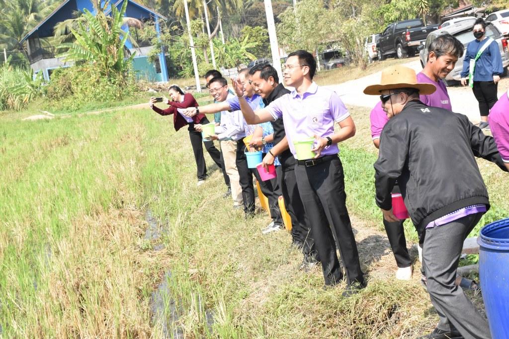 ภาพประกอบที่ 34