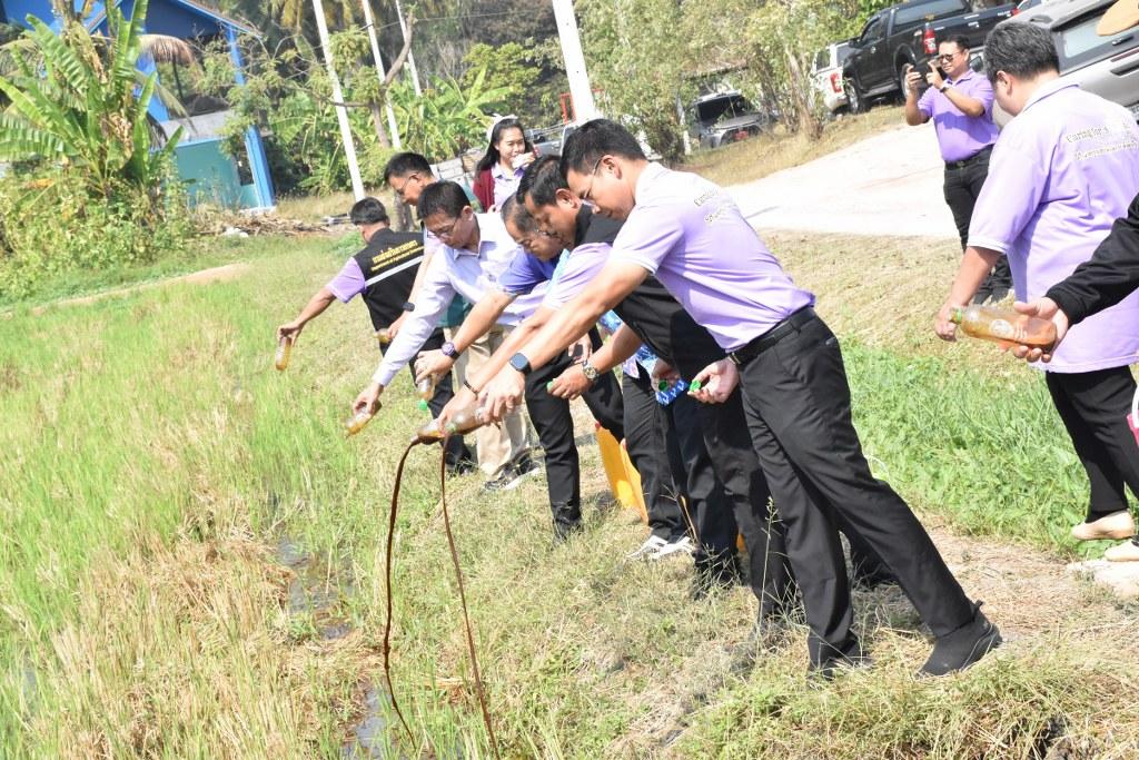 ภาพประกอบที่ 35