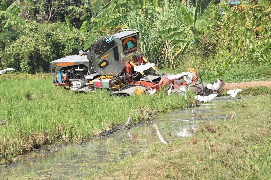 ภาพประกอบที่ 39