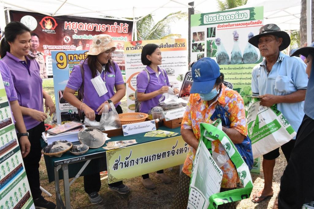 ภาพประกอบที่ 43