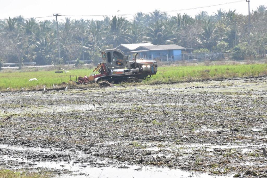 ภาพประกอบที่ 46