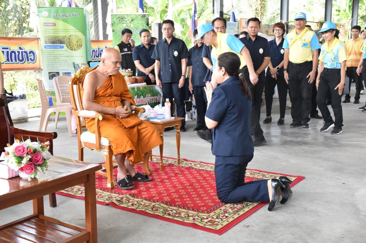 ภาพประกอบที่ 11