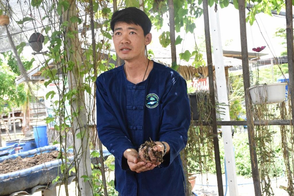 ภาพประกอบที่ 16