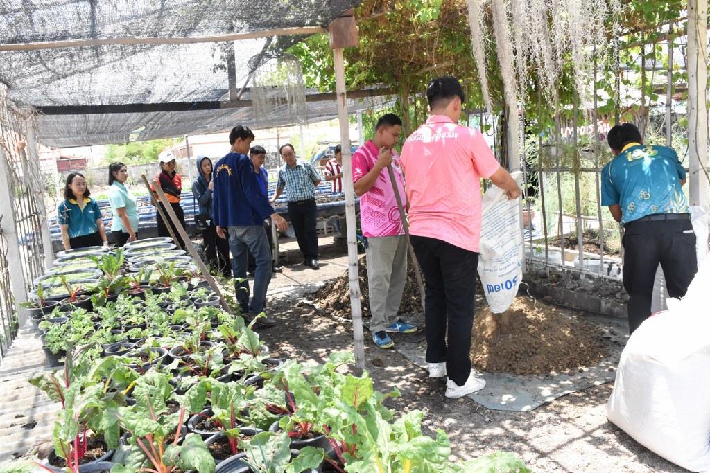 ภาพประกอบที่ 17