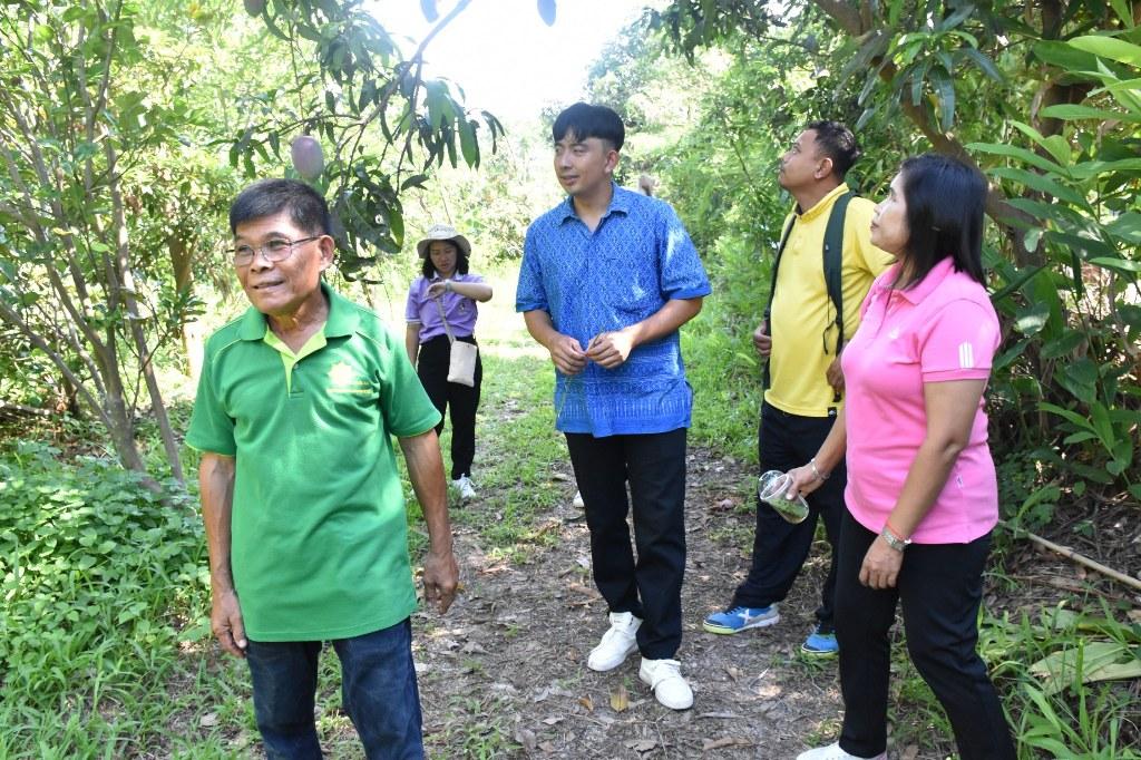 ภาพประกอบที่ 0