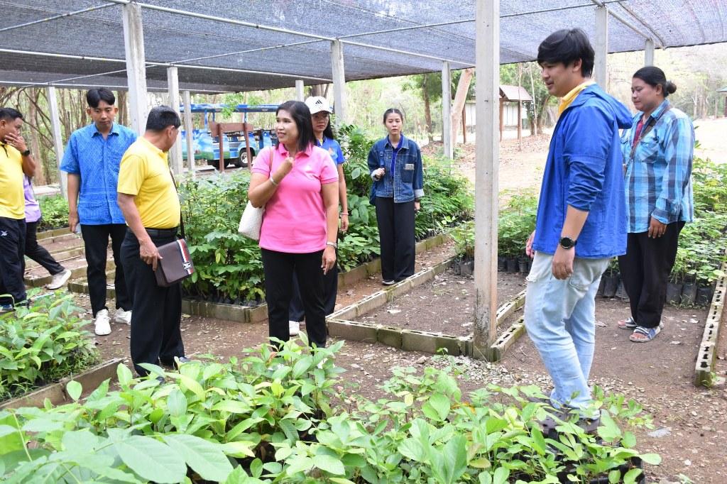 ภาพประกอบที่ 6