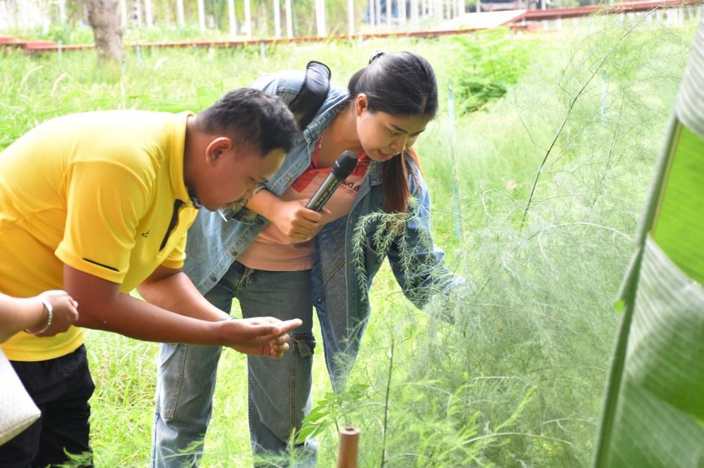 ภาพประกอบที่ 14