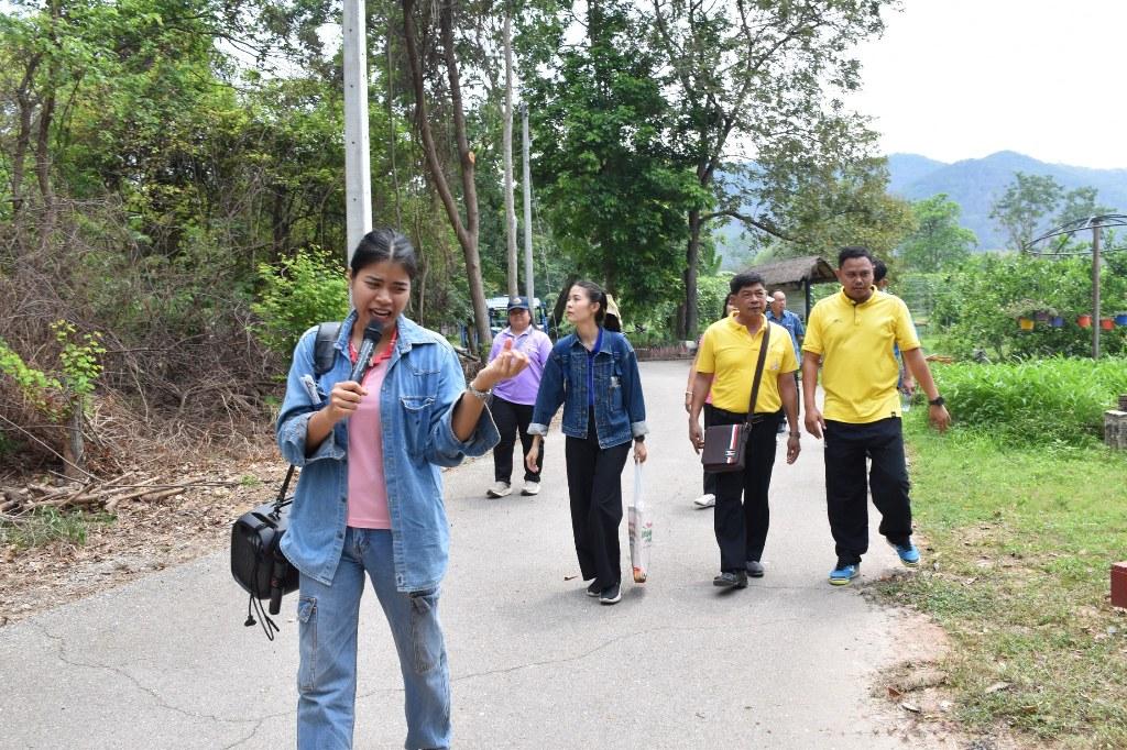 ภาพประกอบที่ 15