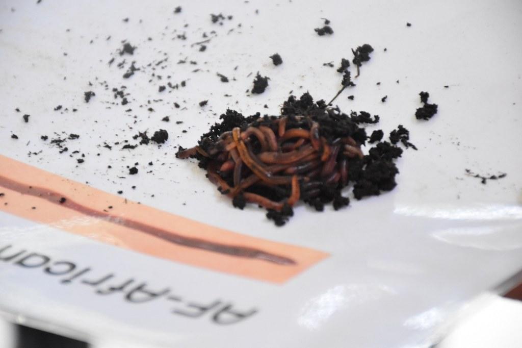 ภาพประกอบที่ 22