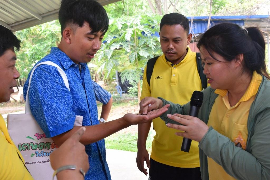ภาพประกอบที่ 24