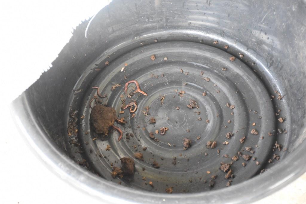 ภาพประกอบที่ 30