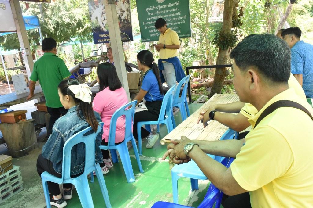 ภาพประกอบที่ 31