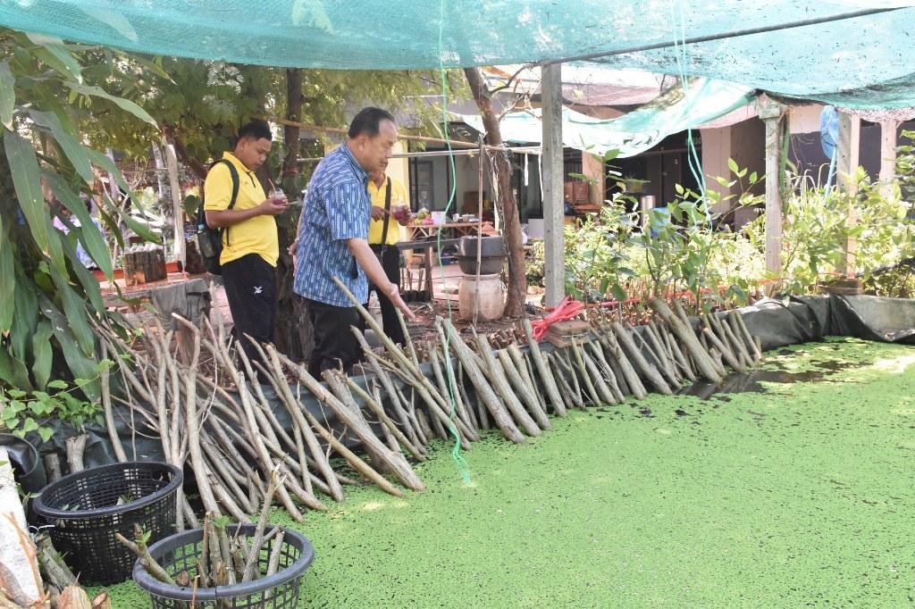 ภาพประกอบที่ 36