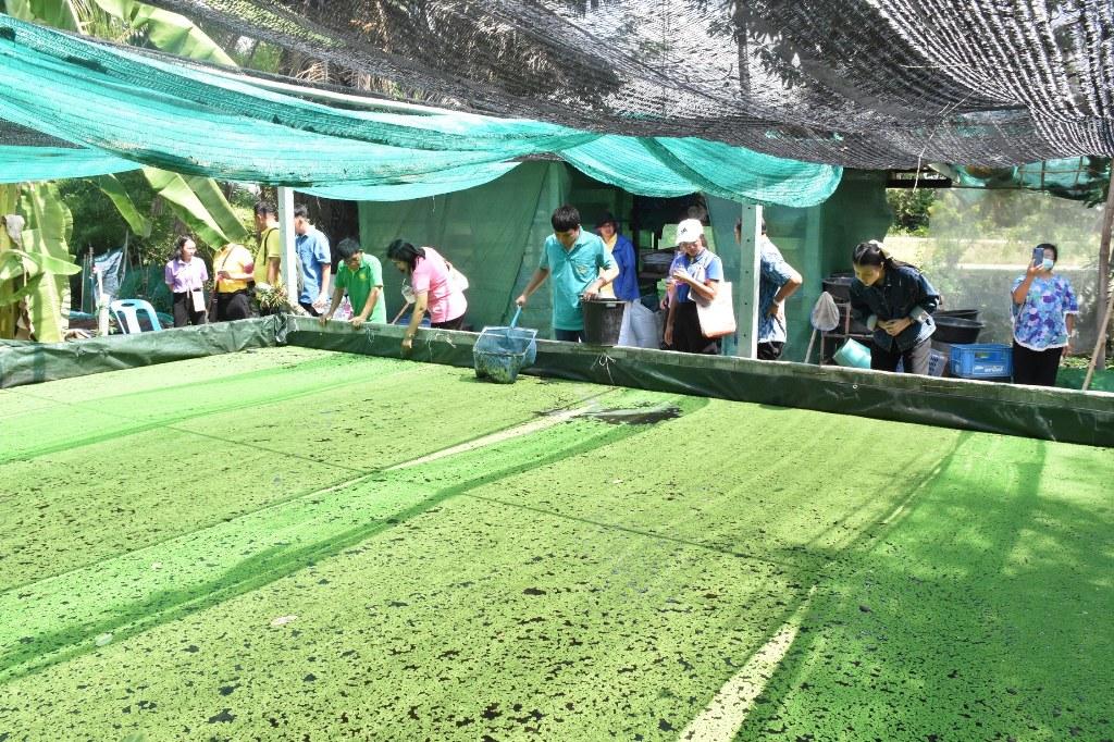 ภาพประกอบที่ 37