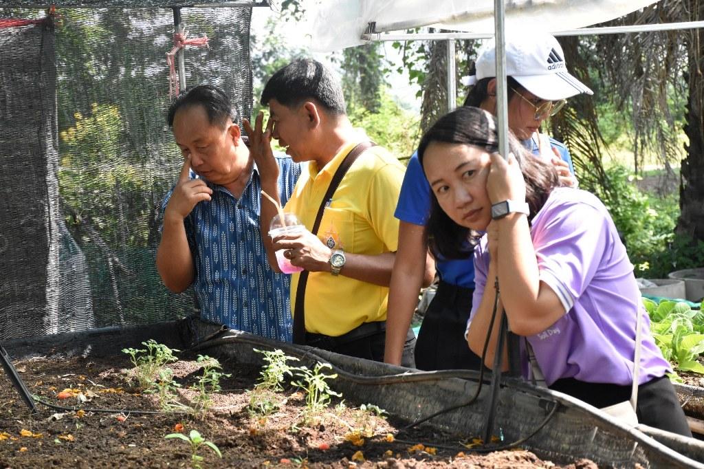 ภาพประกอบที่ 41