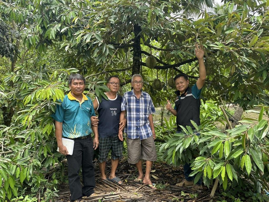 ภาพประกอบที่ 0