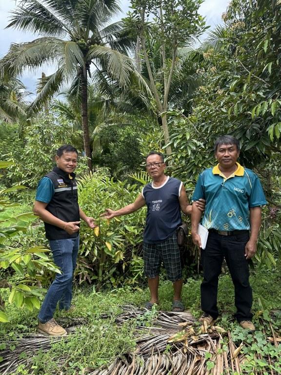 ภาพประกอบที่ 2