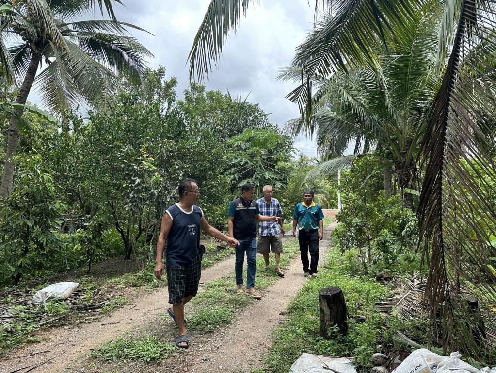 ภาพประกอบที่ 5